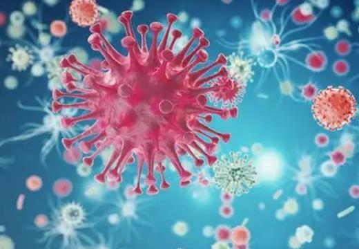 新冠味覺(jué)嗅覺(jué)消失怎么治療?陽(yáng)康后咳嗽不停怎么辦 新冠味覺(jué)嗅覺(jué)消失怎么治療?陽(yáng)康后咳嗽不停怎么辦