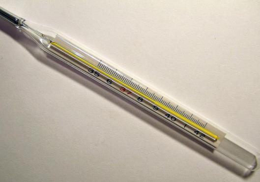 體溫計是鐵頭朝下嗎?水銀溫度計怎么用 體溫計是鐵頭朝下嗎?水銀溫度計怎么用