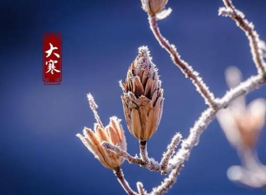 2023大寒是不是三九的第一天?2023年大寒過后幾天是亂歲 2023大寒是不是三九的第一天?2023年大寒過后幾天是亂歲