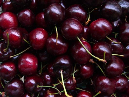 車(chē)?yán)遄淤I(mǎi)多大的合適?車(chē)?yán)遄右幌溆袔讉(gè)壞果正常 車(chē)?yán)遄淤I(mǎi)多大的合適?車(chē)?yán)遄右幌溆袔讉(gè)壞果正常