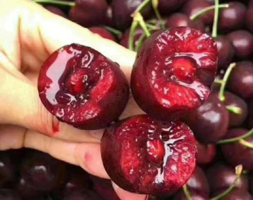 ܇?y��n)��������I��j�ģ�܇?y��n)����I�؁�(l��i)��ô����