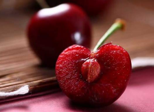 ܇��������һ����ٽ܇���Ӷ��ĺó�