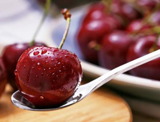 ܇��������һ����ٽ܇���Ӷ��ĺó�