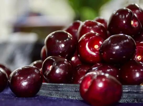 ܇��������һ����ٽ܇���Ӷ��ĺó�