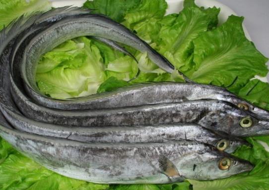 �ɴ��Ď��~�ǲ��Ǻ��ȣ����b�Ď��~�ܷŶ��