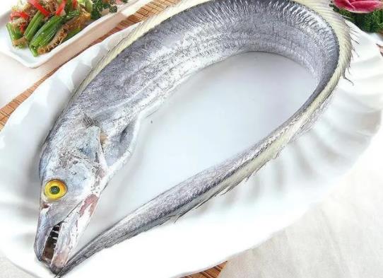 包裝帶魚段兩側發黑了能吃嗎?袋裝的帶魚段是處理好的嗎 包裝帶魚段兩側發黑了能吃嗎?袋裝的帶魚段是處理好的嗎