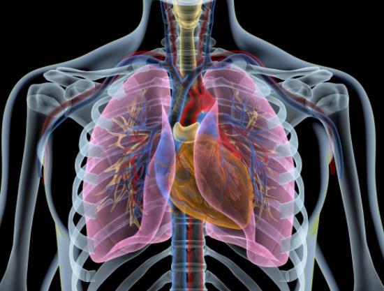 �¹ڰ׷ο����������Բ��Ƿ���F�׷�