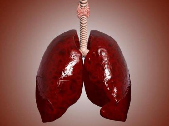 �¹ڰ׷ο����������Բ��Ƿ���F�׷�