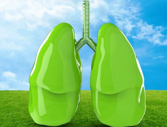 84�q���˷�ȫ���оȆ᣿ƽ�r���ӱ��o�Լ��ķ�