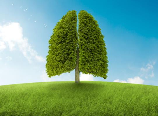 ����A(y��)���׷Σ�����������ǲ��ǰ׷�