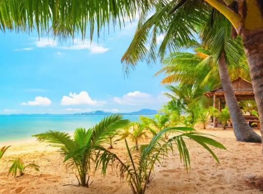 ����Խ��Խ���ǵ���h����ԭ��᣿���ӷ��ߜؿ������