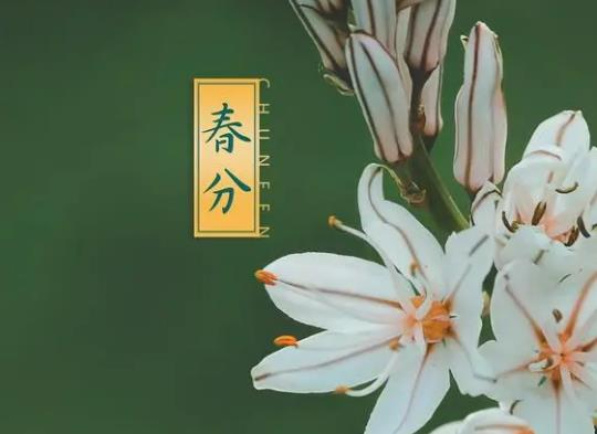 2023春分過后氣溫回升嗎?2023春分過后白天越來越長還是越來越短 2023春分過后氣溫回升嗎?2023春分過后白天越來越長還是越來越短