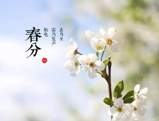 2023春分過后氣溫回升嗎?2023春分過后白天越來越長還是越來越短 2023春分過后氣溫回升嗎?2023春分過后白天越來越長還是越來越短