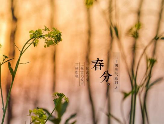 2023春分過后氣溫回升嗎?2023春分過后白天越來越長還是越來越短 2023春分過后氣溫回升嗎?2023春分過后白天越來越長還是越來越短