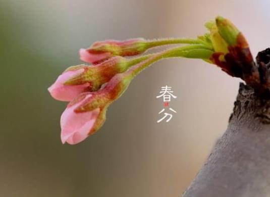 ���ִ�Ŝض��Ƕ��٣���ʲô�����^��ו��u�L