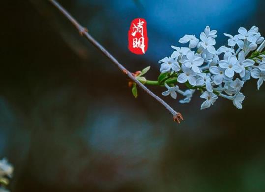 2023年清明節為什么不調休?為什么新墳就在春社日前上 2023年清明節為什么不調休?為什么新墳就在春社日前上