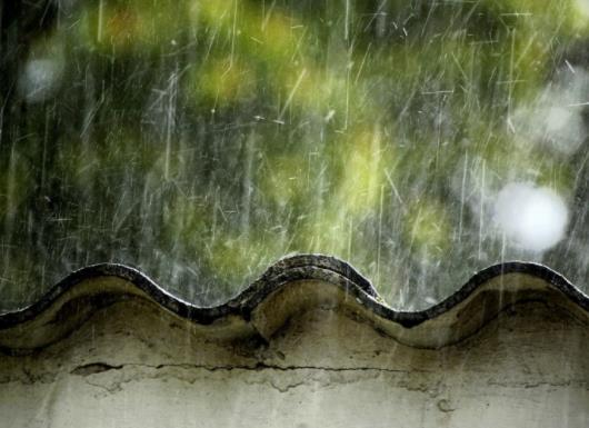 �����꼾���Ďׂ��£�2023����ʡ���·����꼾