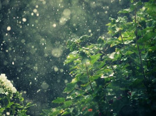 �����꼾���Ďׂ��£�2023����ʡ���·����꼾