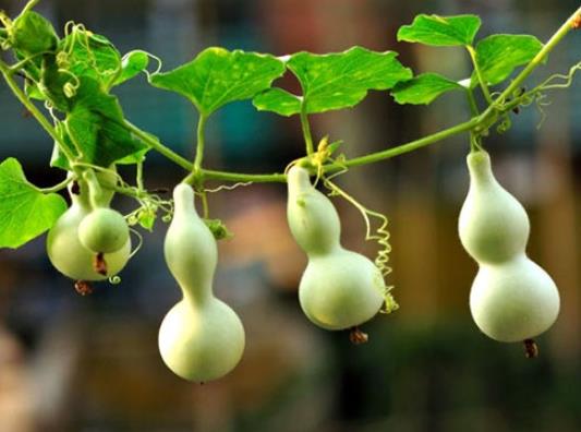 ���J��ɶ����ϵ�t�K����Ȼ�ĺ��J���ԷŴ��^��߅��