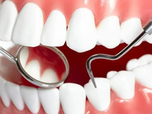 �������ܺ�Ƥ���������᣿�����������µ�߀��Ѫ��Ҫ��ҧ�����