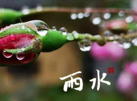 2023雨水節(jié)氣還冷嗎?2023年雨水節(jié)氣前一天下葬好嗎 2023雨水節(jié)氣還冷嗎?2023年雨水節(jié)氣前一天下葬好嗎