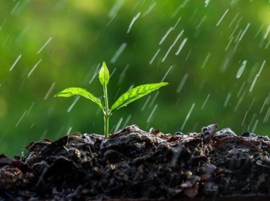 ��ˮ������ǲ��Ǿ�ů���ˣ�����������������ò���