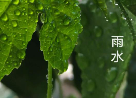 ��ˮ������ǲ��Ǿ�ů����������������������ò���