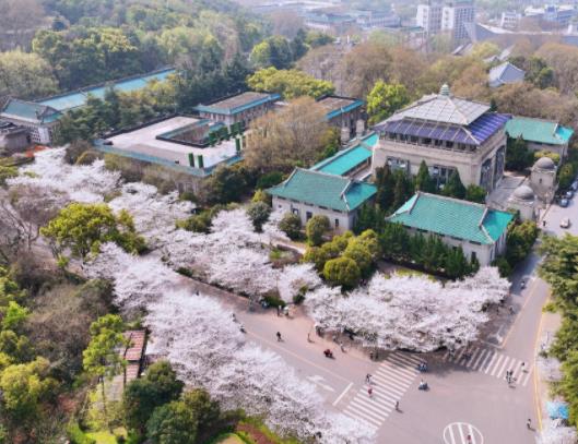 2023年武大看櫻花要門票嗎?2023年武大櫻花怎么預約 2023年武大看櫻花要門票嗎?2023年武大櫻花怎么預約