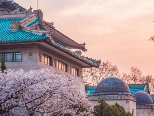 武大櫻花開多久結束?武大櫻花在幾月份開放 武大櫻花開多久結束?武大櫻花在幾月份開放