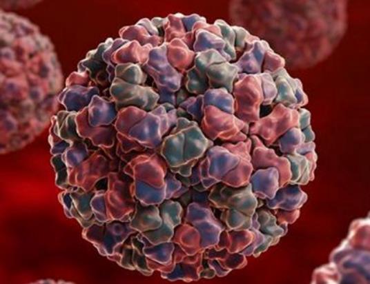 諾如病毒短期內會二次感染嗎?諾如病毒會傳染給大人嗎 諾如病毒短期內會二次感染嗎?諾如病毒會傳染給大人嗎