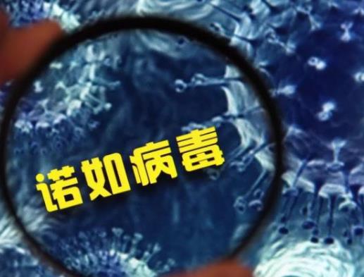 諾如病毒得過一次后有抗體嗎?諾如病毒感染一次還會(huì)再感染嗎 諾如病毒得過一次后有抗體嗎?諾如病毒感染一次還會(huì)再感染嗎