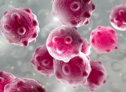 諾如病毒得過一次有免疫嗎?諾如病毒得了以后還能二次被傳染嗎 諾如病毒得過一次有免疫嗎?諾如病毒得了以后還能二次被傳染嗎