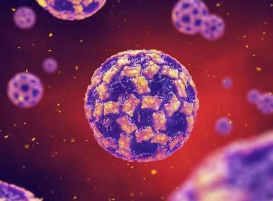 感染諾如病毒可以喝牛奶嗎?諾如病毒一般幾天能好 感染諾如病毒可以喝牛奶嗎?諾如病毒一般幾天能好