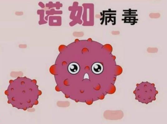 諾如病毒厲害還是新冠病毒厲害?諾如病毒是新冠病毒的變異嗎 諾如病毒厲害還是新冠病毒厲害?諾如病毒是新冠病毒的變異嗎