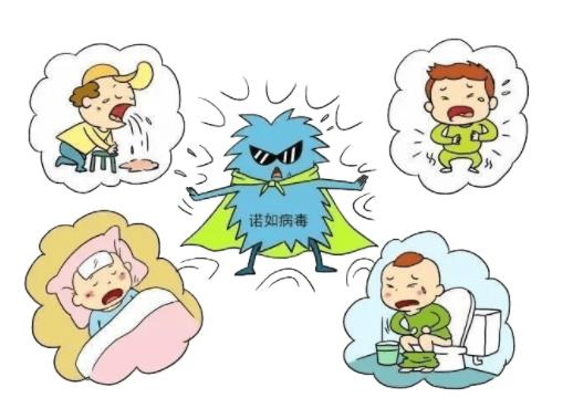 諾如病毒要去防疫部門查嗎?諾如病毒能吃魚蝦嗎 諾如病毒要去防疫部門查嗎?諾如病毒能吃魚蝦嗎