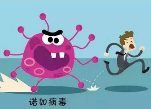 諾如病毒會傳染給寵物嗎?諾如病毒的傳播途徑 諾如病毒會傳染給寵物嗎?諾如病毒的傳播途徑