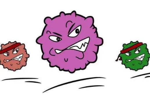 諾如病毒會傳染給寵物嗎?諾如病毒的傳播途徑 諾如病毒會傳染給寵物嗎?諾如病毒的傳播途徑