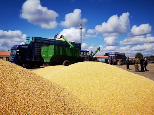 ����Zʳ�a�Nɶ�r�������Zʳ�a�N���Դ�����籣�����