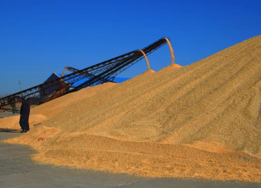 ����Zʳ�a�Nɶ�r�������Zʳ�a�N���Դ�����籣�����