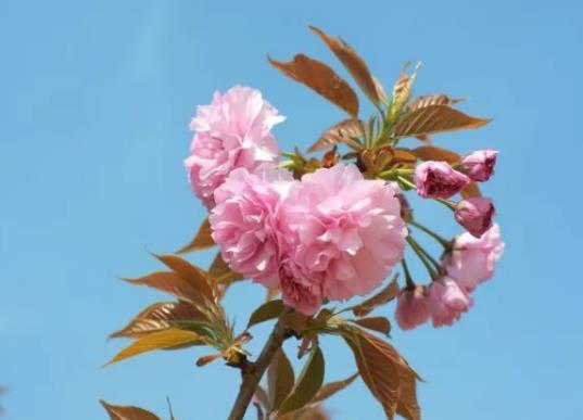 �������ʲôԢ�⣿�c�����IЬ��ʲô�v��