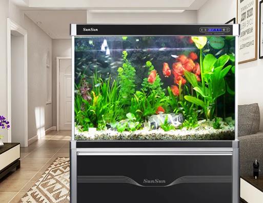 手上有香味能往魚缸放水嗎?魚養(yǎng)久了會(huì)有靈性嗎 手上有香味能往魚缸放水嗎?魚養(yǎng)久了會(huì)有靈性嗎