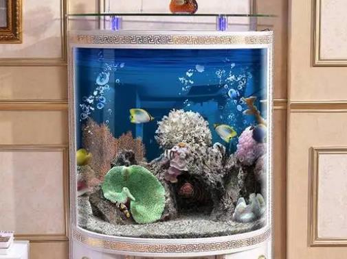 ��������ζ�ܲ���ֱ�������~�׷�ˮ���~�B(y��ng)������`��