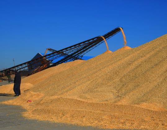 ���سа��o�e�˷N�Z�a(b��)�N�o�l(shu��)���Zʳ�a(b��)�N��һ��l(f��)һ��߀�ǃɴ�