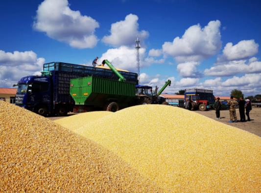 �Zʳ�a(b��)�N�](m��i)�����Ă�(g��)���T���N�Z�a(b��)�N���ךw�l(shu��)