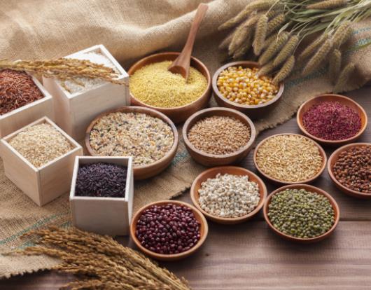 糧食補貼發放到戶主名字上嗎?糧食補貼是一年兩次嗎 糧食補貼發放到戶主名字上嗎?糧食補貼是一年兩次嗎