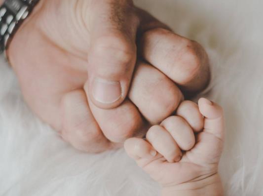 ���ݶ�̥�����I(l��ng)ȡ�������N�᣿���ݶ�̥�������_ʼ�_�ŵ�