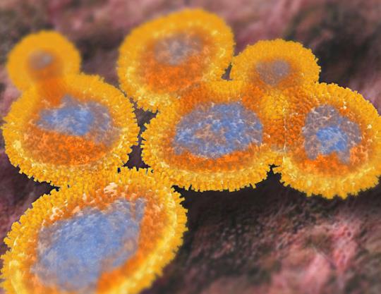 �������˼������Č��Ժ���Ӱ푆᣿������ͨ�^�·���Ⱦ��