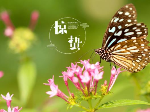 3月6日驚蟄如何打小人?2023驚蟄打小人幾點鐘合適 3月6日驚蟄如何打小人?2023驚蟄打小人幾點鐘合適