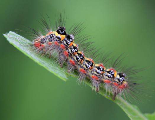 ��ë�x���Ըߜ��ܽ��������ë�x׃�ɺ���߀�Ƕ�