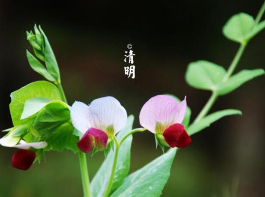 ��ʲô������һ��Ҫ������������������ʲô���M